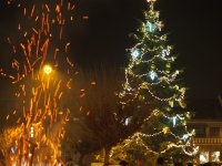 obrázek k akci Zpívání u vánočního stromu