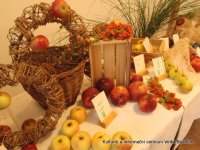 obrázek k akci Podzimní výstava květin, ovoce a zeleniny