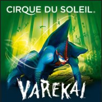 obrázek k akci Cirque du Soleil - Amaluna