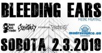 obrázek k akci Bleeding Ears Metal Meating vol. 2