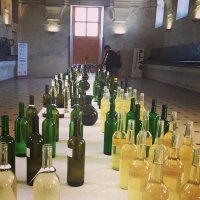obrázek k akci Svěcení vína ve Španělské konírně zámku Valtice