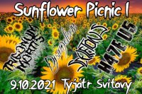 obrázek k akci Sunflower Picnic I