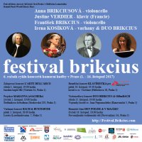 obrázek k akci Festival Brikcius - 6. ročník cyklu koncertů komorní hudby v Praze (1. - 16. listopad 2017)