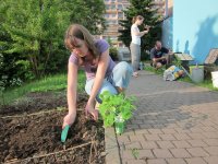 obrázek k akci CYKLUS EKOVEČERŮ: Komunitní zahradničení a kompostování