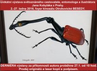obrázek k akci Entomologický výměnný den a výstava v Otrokovicích.