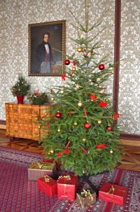 obrázek k akci Vánoce a Silvestr na zámku Lysice