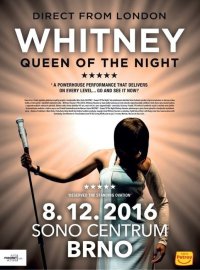 obrázek k akci Whitney - Queen Of The Night /UK/