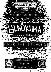 obrázek k akci Raw punk attack vol.2