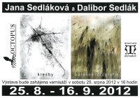 obrázek k akci Výstava Jany a Dalibora Sedlákových