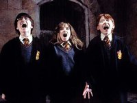 obrázek k akci Harry Potter a Kámen mudrců