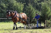 obrázek k akci Sportovní den Spolku soukromých chovatelů koní na Moravě