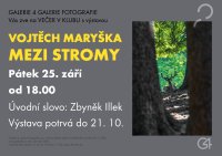 obrázek k akci Vojtěch Maryška - Mezi stromy