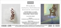 obrázek k akci Johana Střížková / Antonín Střížek - Hladce