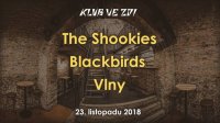 obrázek k akci The Shookies, Blackbirds, Vlny