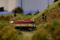 obrázek k akci Jarní výstava železničních modelů