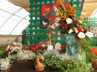 obrázek k akci Výstava květin Čimelice 2017