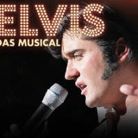 obrázek k akci Elvis - Muzikál
