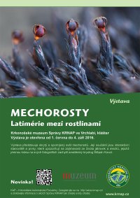 obrázek k akci Mechorosty - latimérie mezi rostlinami